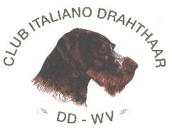 Club Italiano Drahthaar